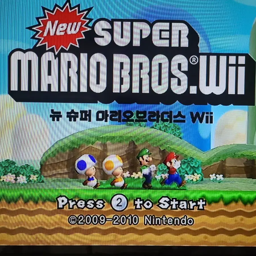 닌텐도 위 wii 2인 세트 풀구성