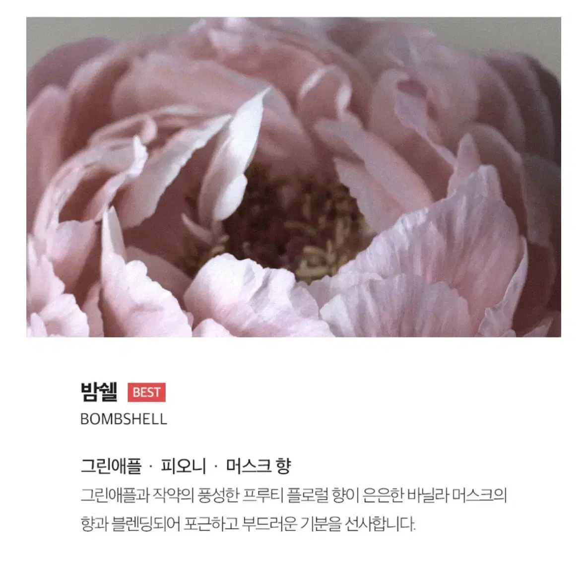 스톤디퓨저 에이센트 (택포)