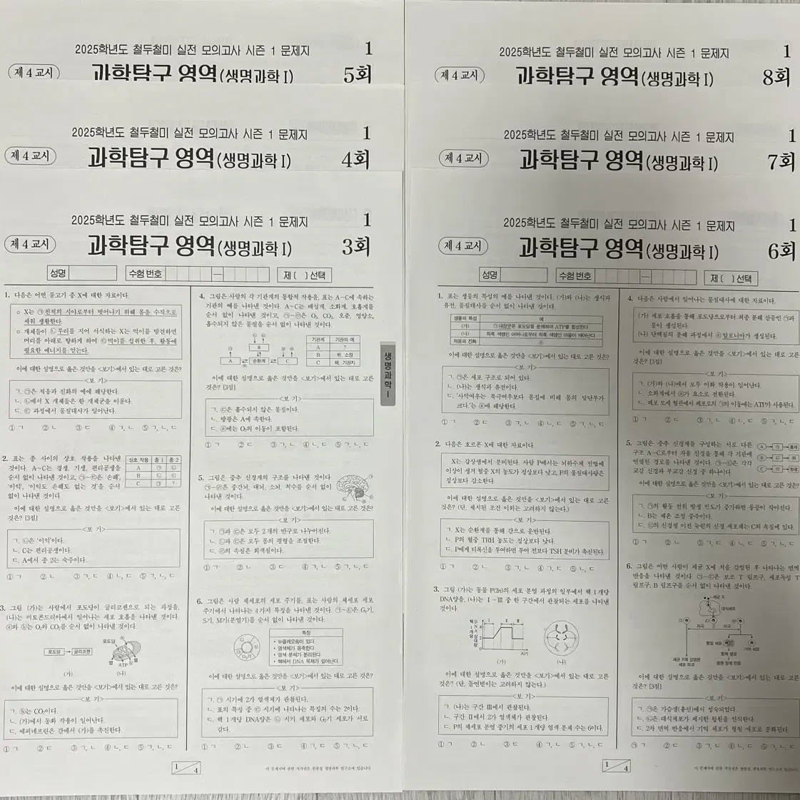 철두철미모의고사