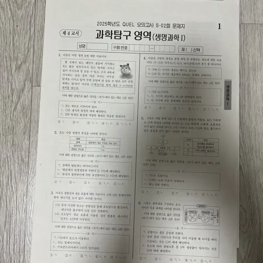 철두철미모의고사