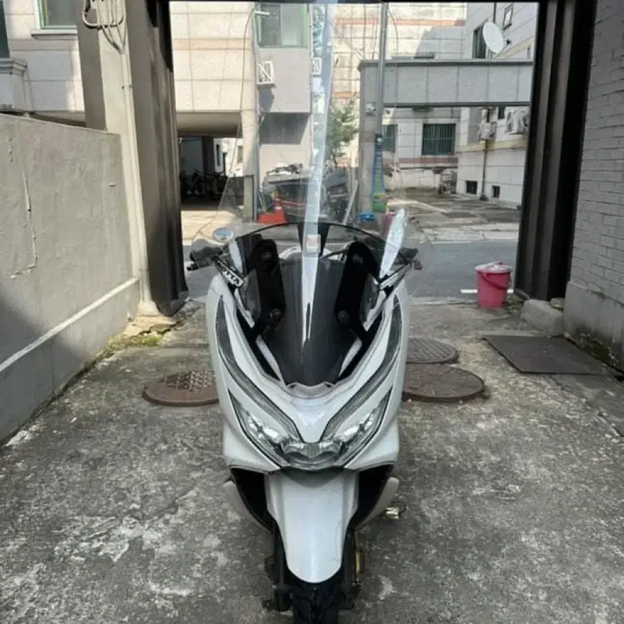 혼다 pcx 125 19년식