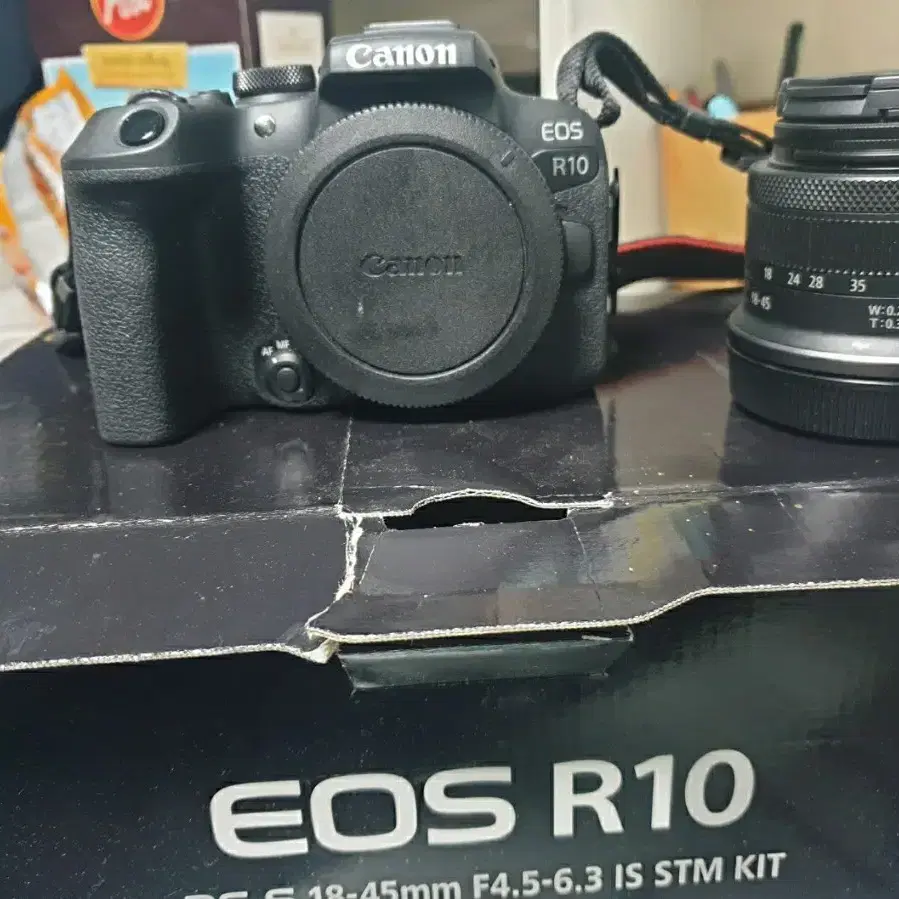 캐논 eos r10