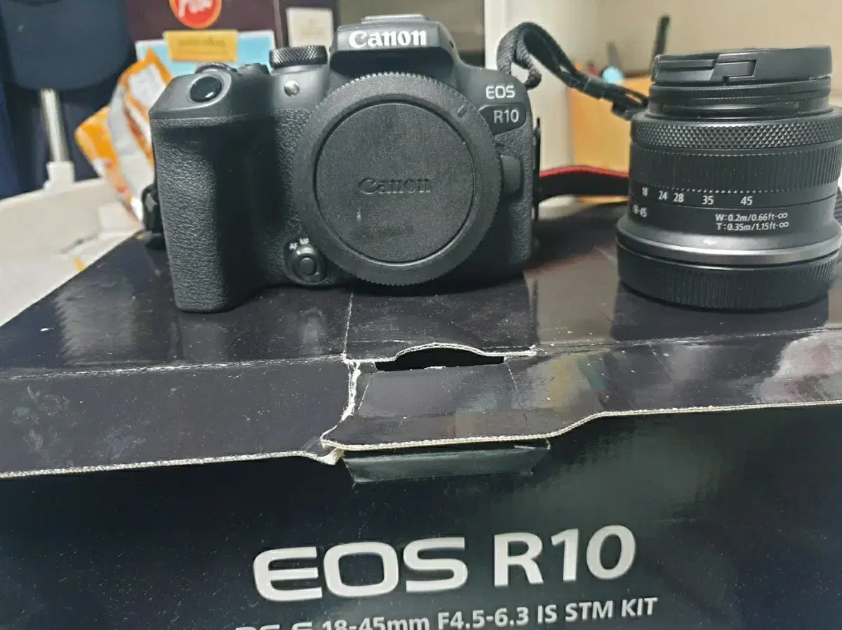 캐논 eos r10