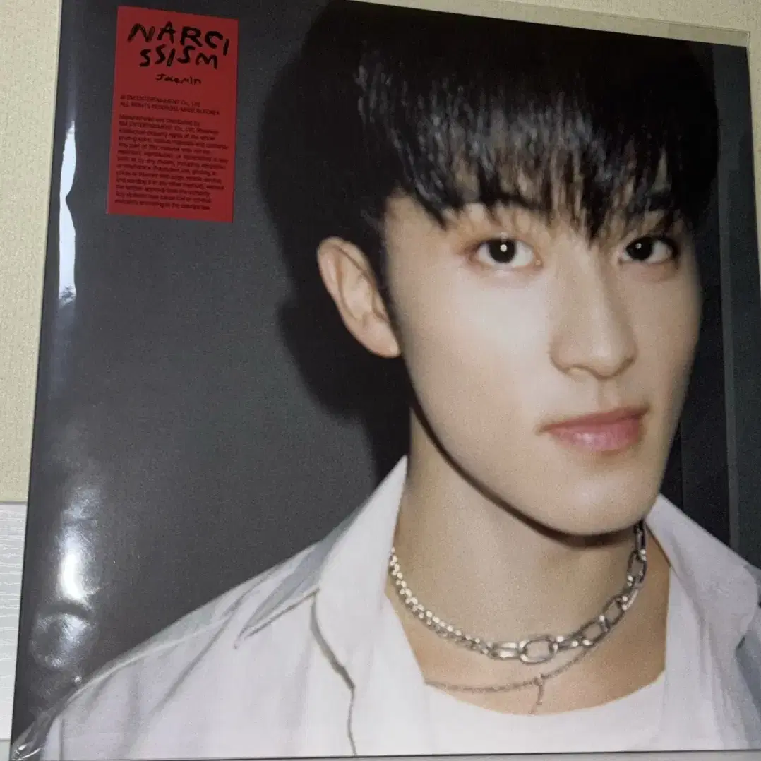 나르시시즘 마크 lp nct