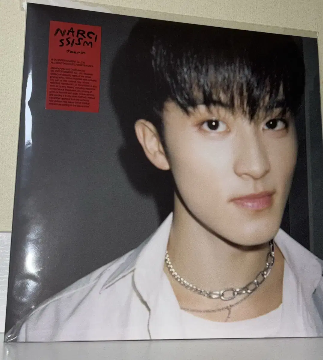 나르시시즘 마크 lp nct