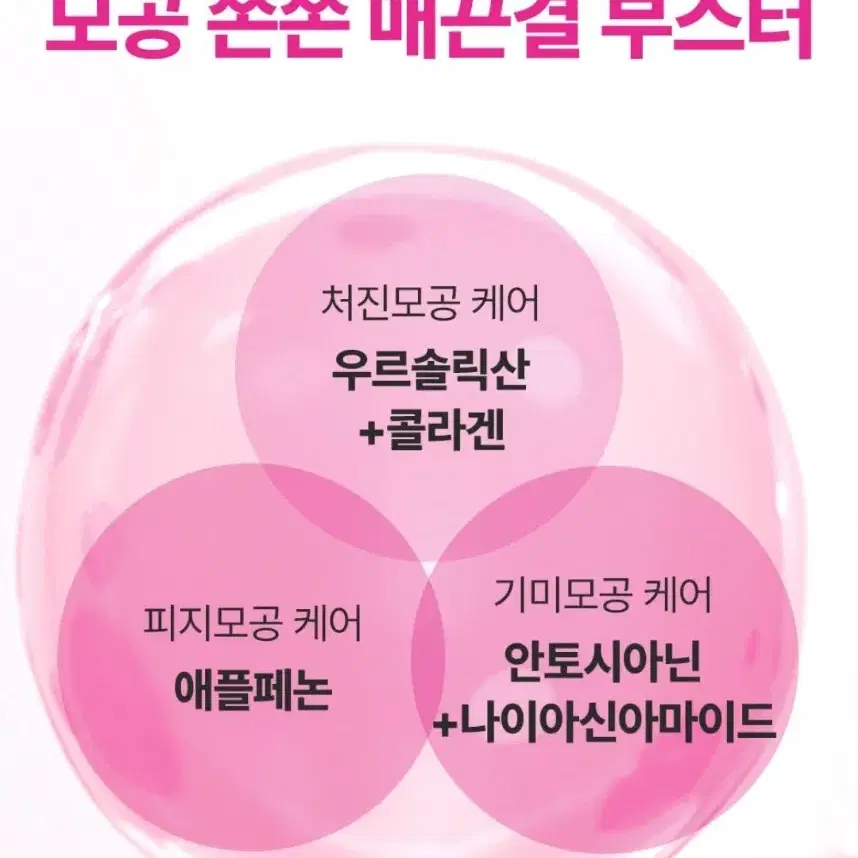 (2개)성분에디터 애플필 비타 수분 크림 50ml