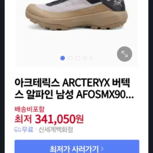 아크테릭스 버텍스 알파인