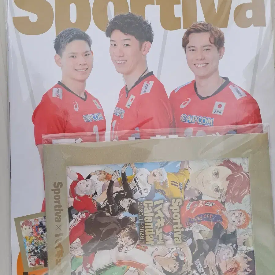 하이큐 sportiva 스포티바 잡지 특전포함 판매 히나타카게야마우시지마