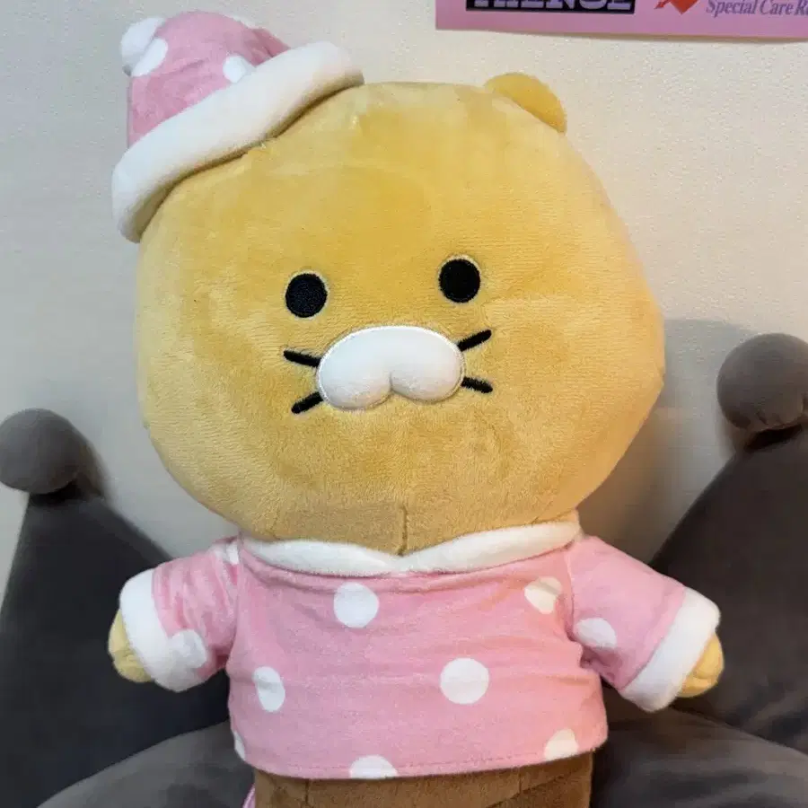 인형 판매합니다 (춘식이,스누피,오둥이,도라에몽,빵빵이,꼬북이,뚱이)