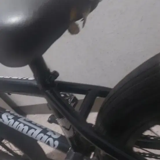 bmx 선데이