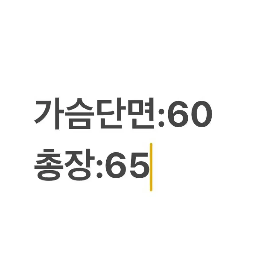 노스페이스 기모 바람막이 점퍼 95