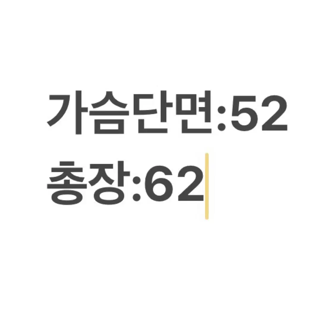 노스페이스 900 경량패딩 95