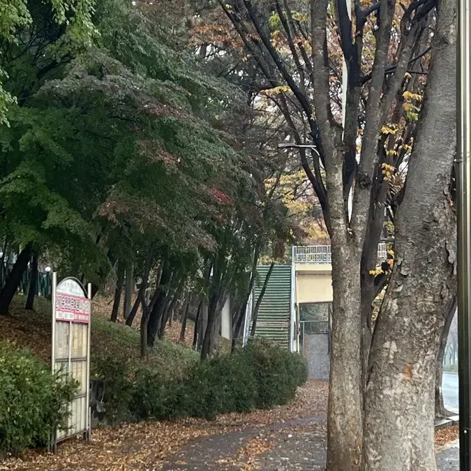 교회 반주 코드 알려주실 분 계신가요?