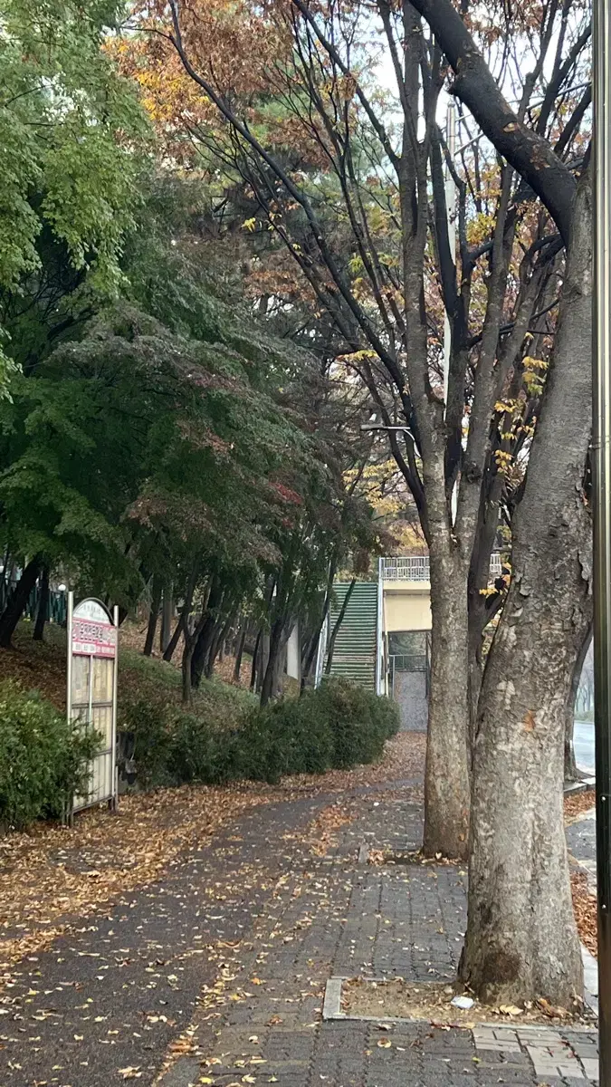 교회 반주 코드 알려주실 분 계신가요?