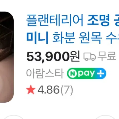 플랜테리어 조명 무드등 팝니당