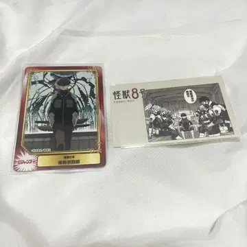 호시나 소우시로 SCF 카드 & 명장면 스티커