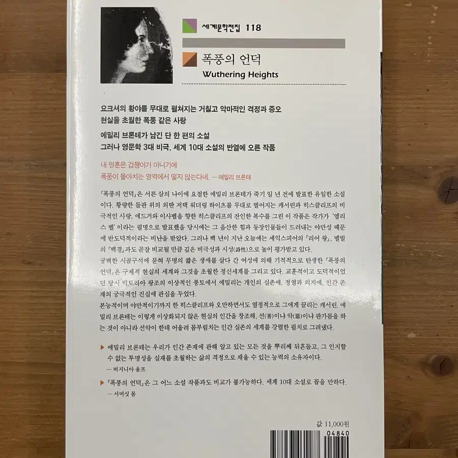 폭풍의 언덕 - 에밀리 브론테