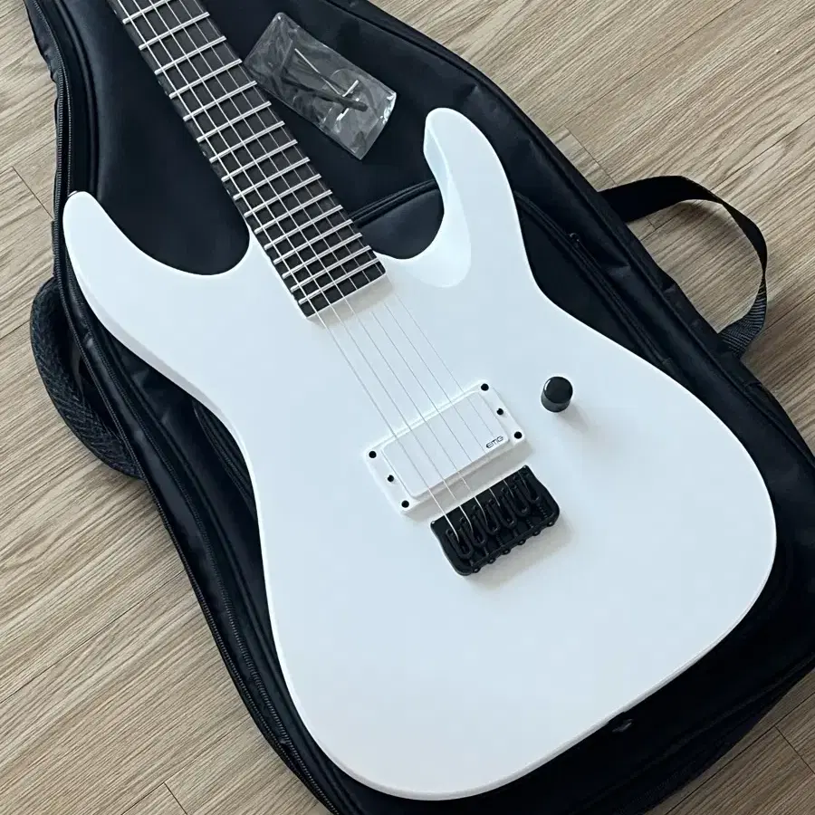 LTD M-HT Arctic Metal SWS 무광화이트