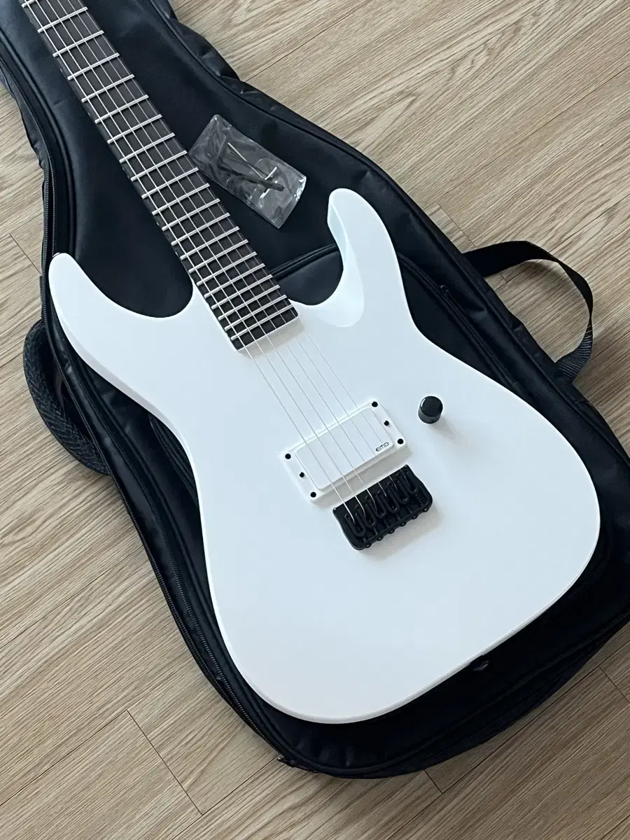 LTD M-HT Arctic Metal SWS 무광화이트