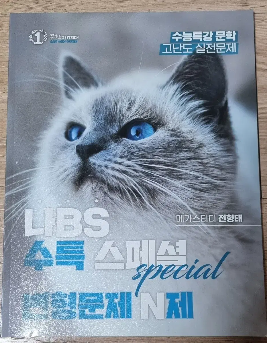 나BS   수특   스폐셜   변형문제  N제   전형태