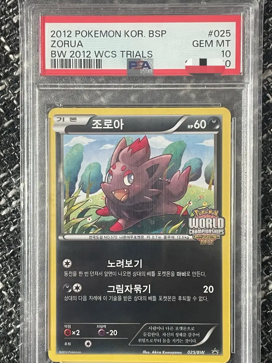 포켓몬카드 Psa10 월챔 프로모카드 조로아(zorua) pop1