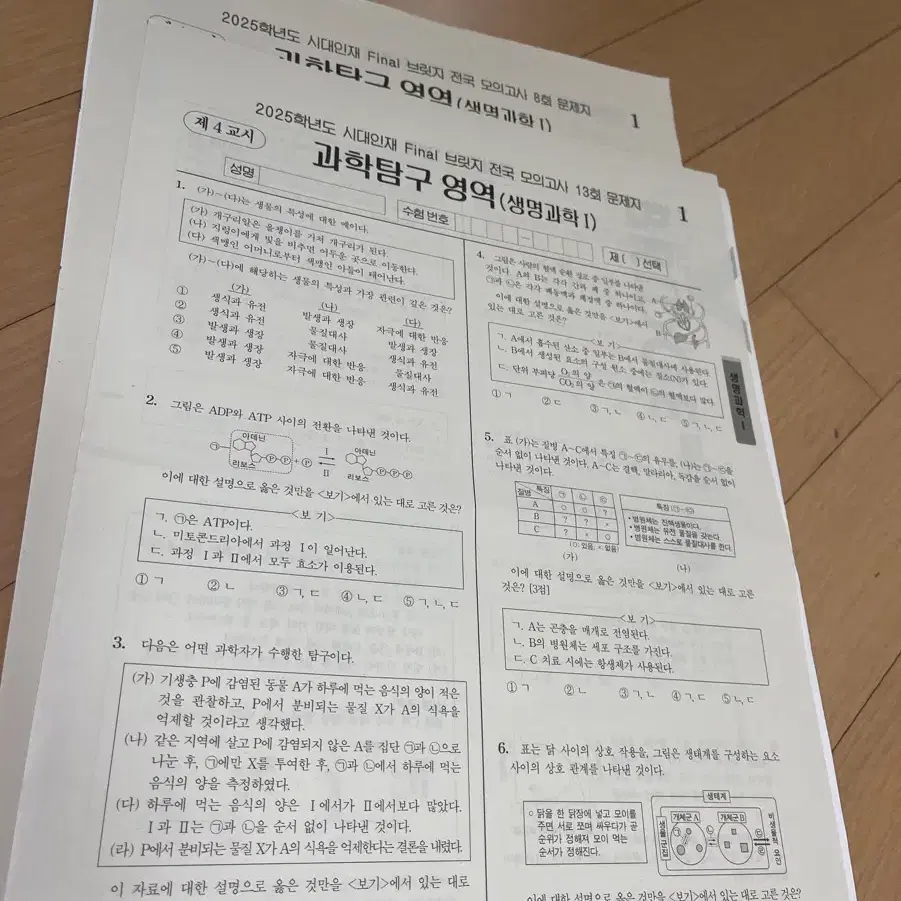 시대인재 파브