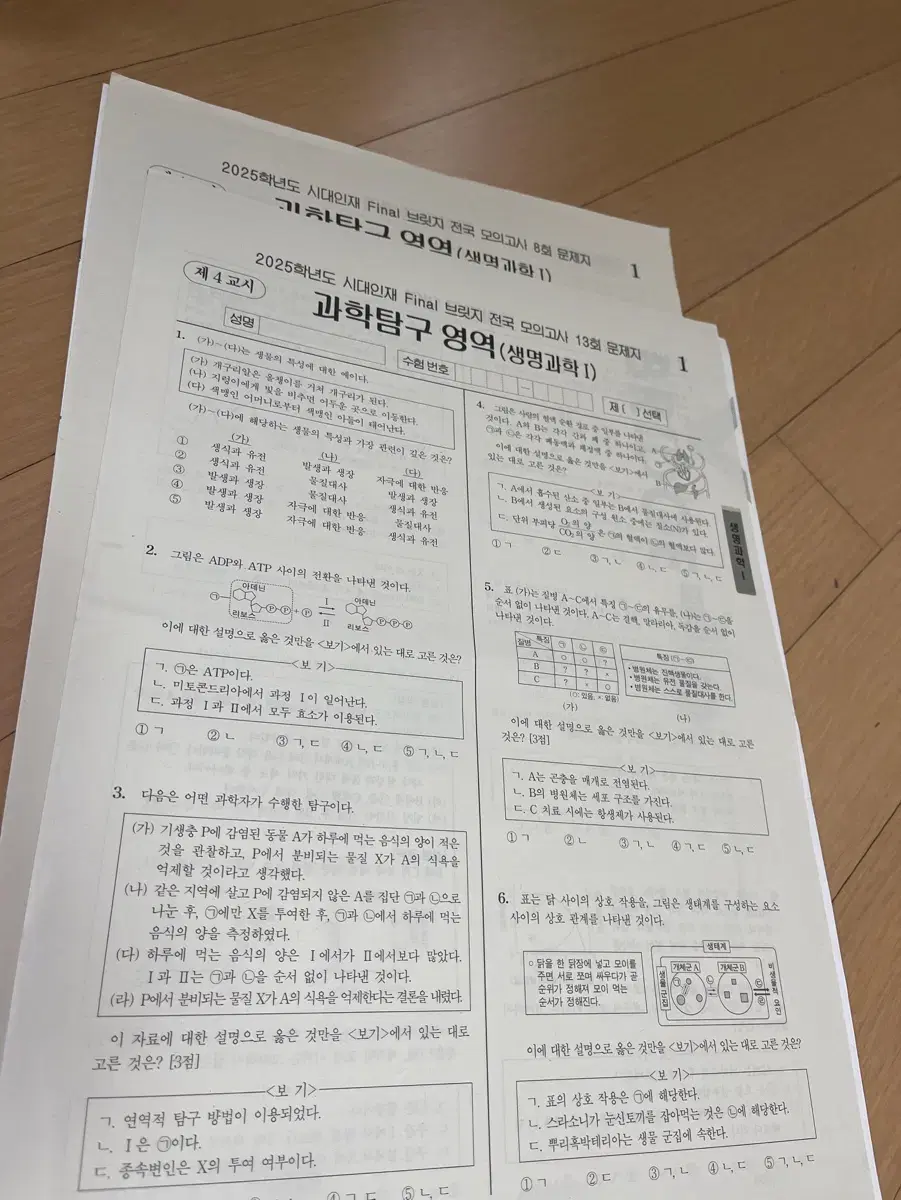 시대인재 파브