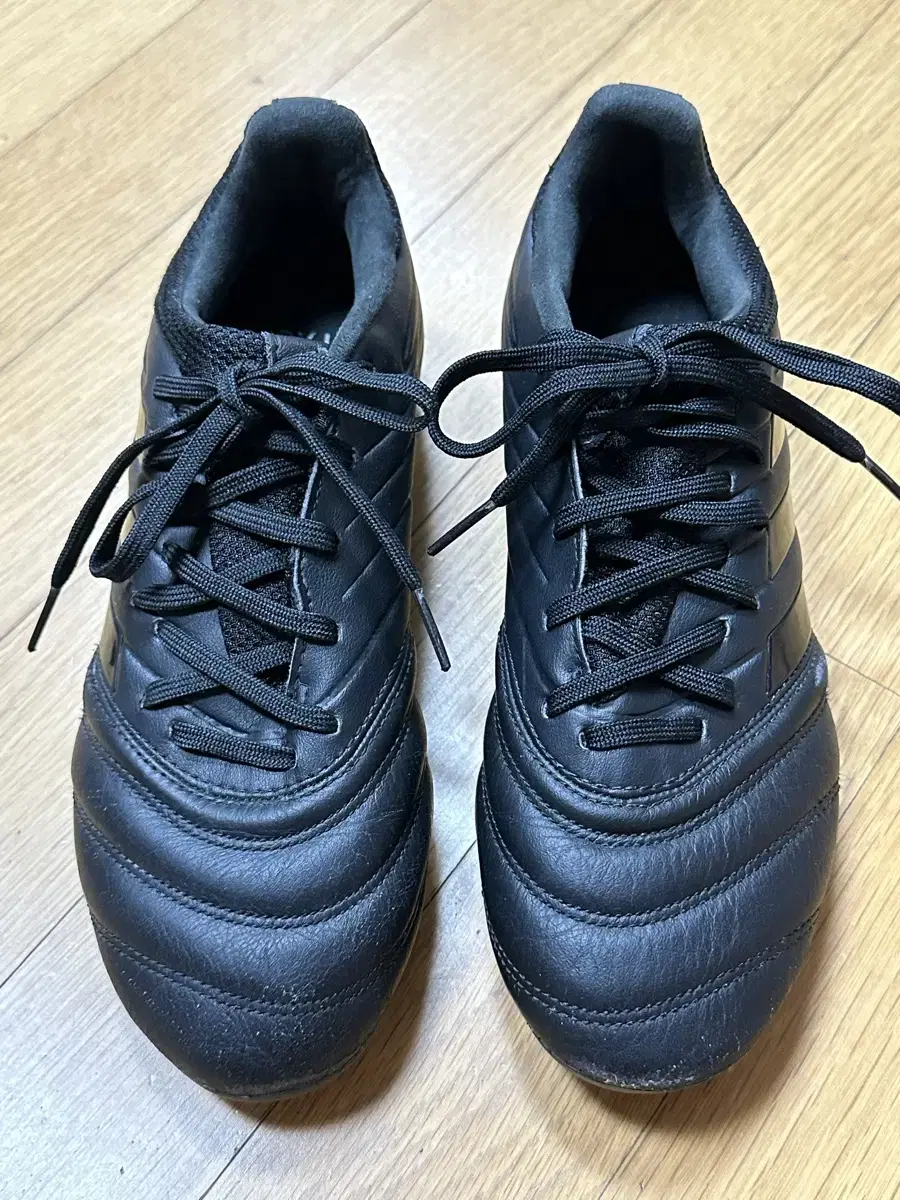 축구화 ADIDAS COPA 19.3 FG (F35493)