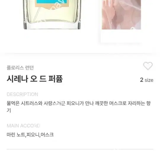 플로리스 런던 시레나 오드퍼퓸 향수 100ml  도손 향수 10ml 드림