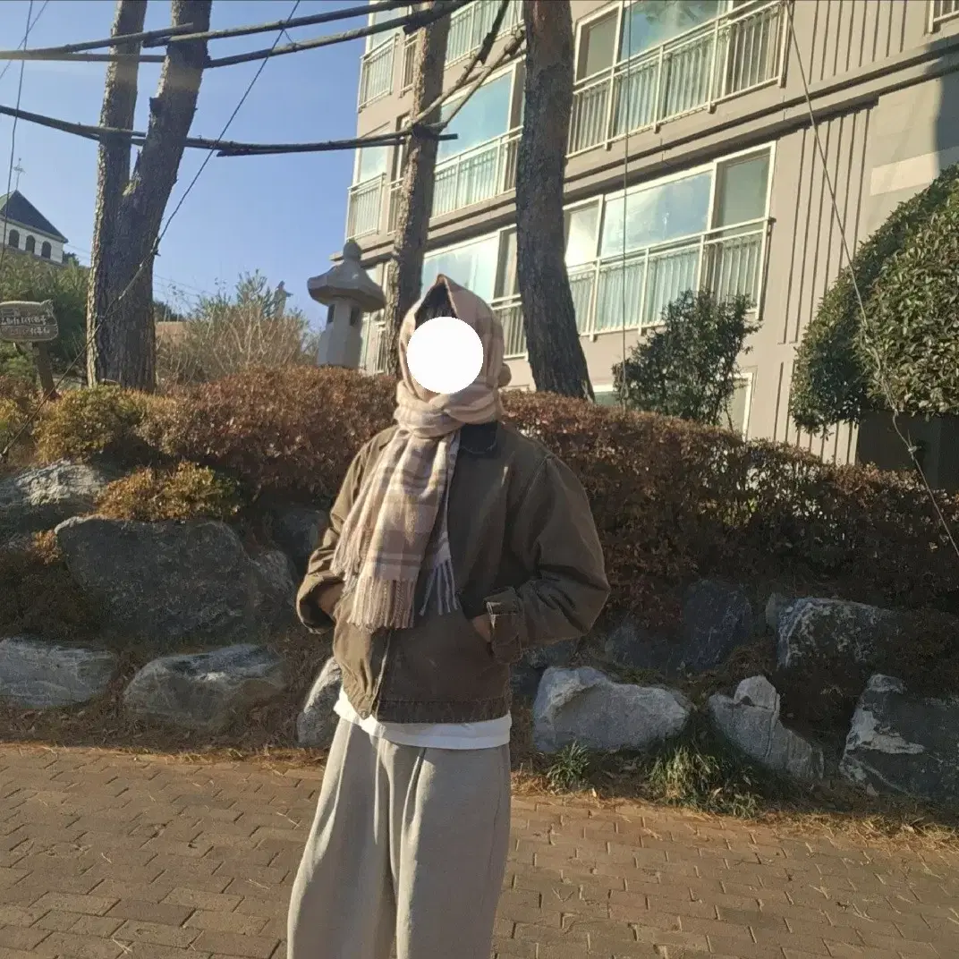 [M]칼하트 j97 디트로이트자켓 dkb색상