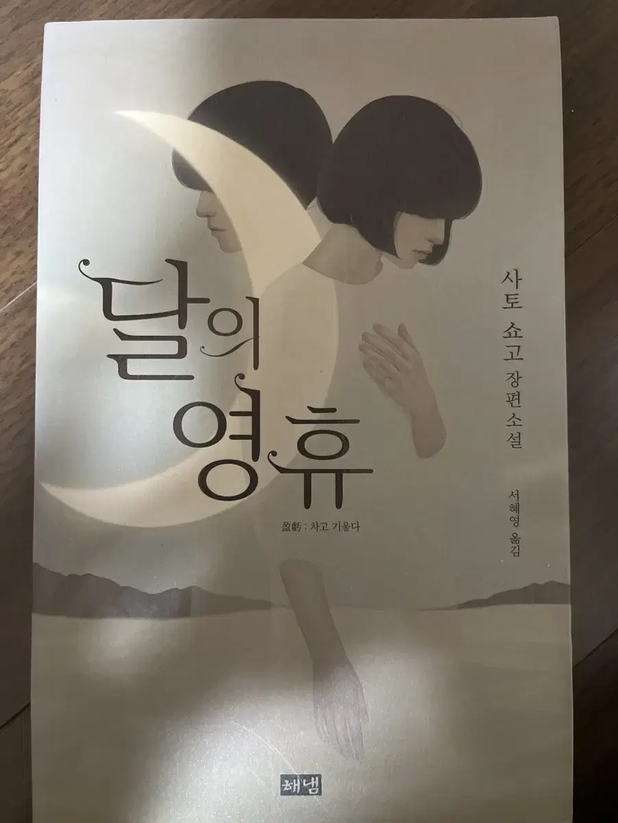 소설책 달의 영휴 판매