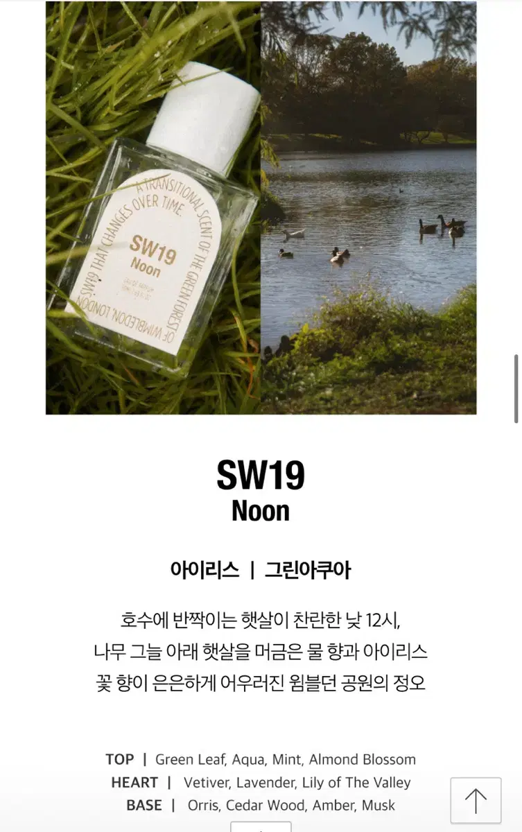 향수 SW19 오 드 퍼퓸 50ml noon