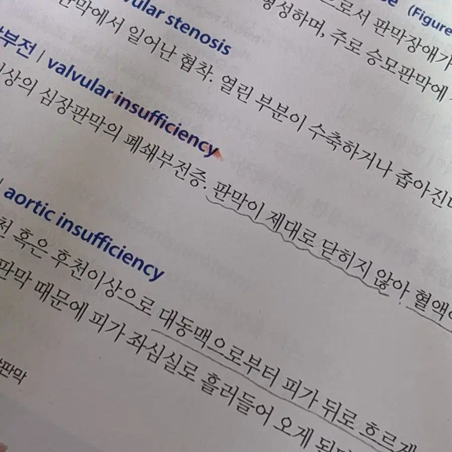 알기쉽게 풀이한 의학용어