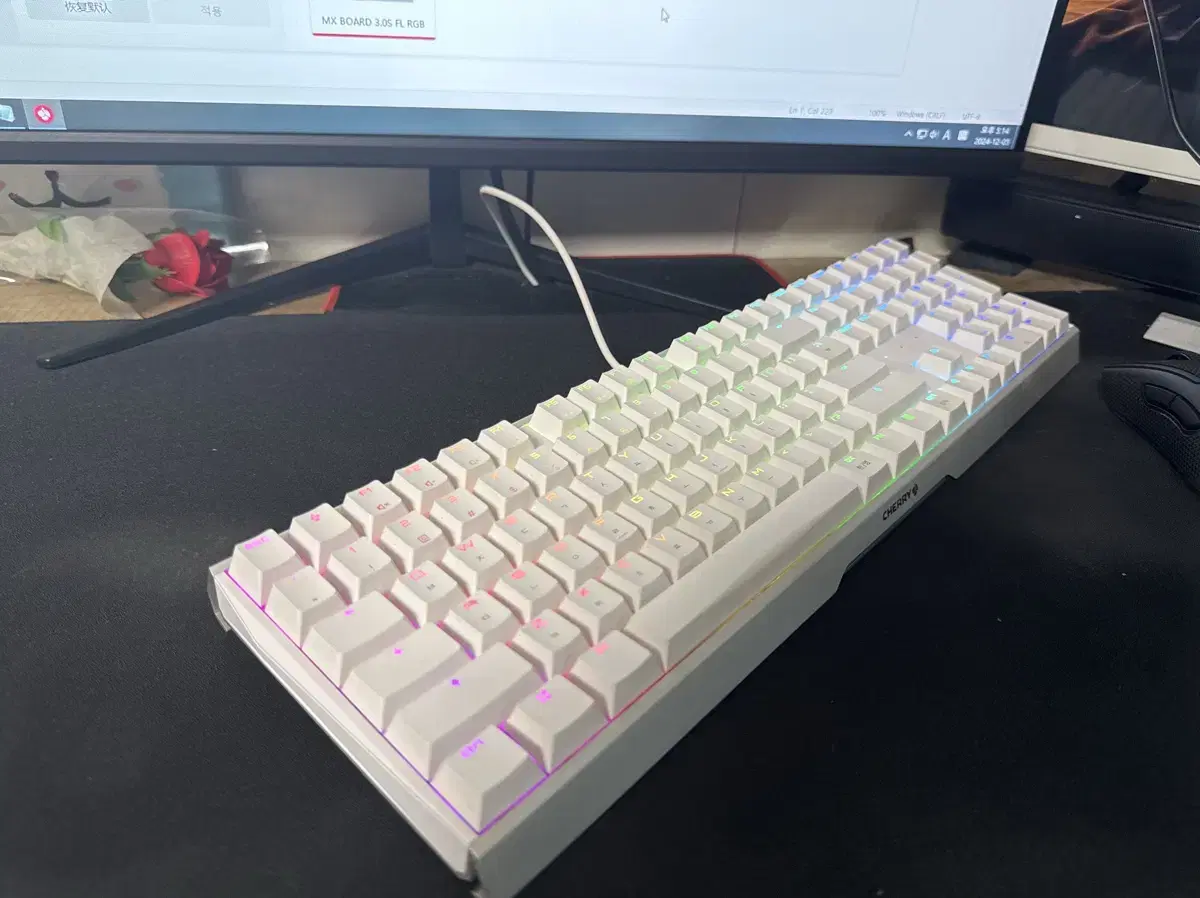 cherry MX BOARD 3.0S RGB (white) 적축