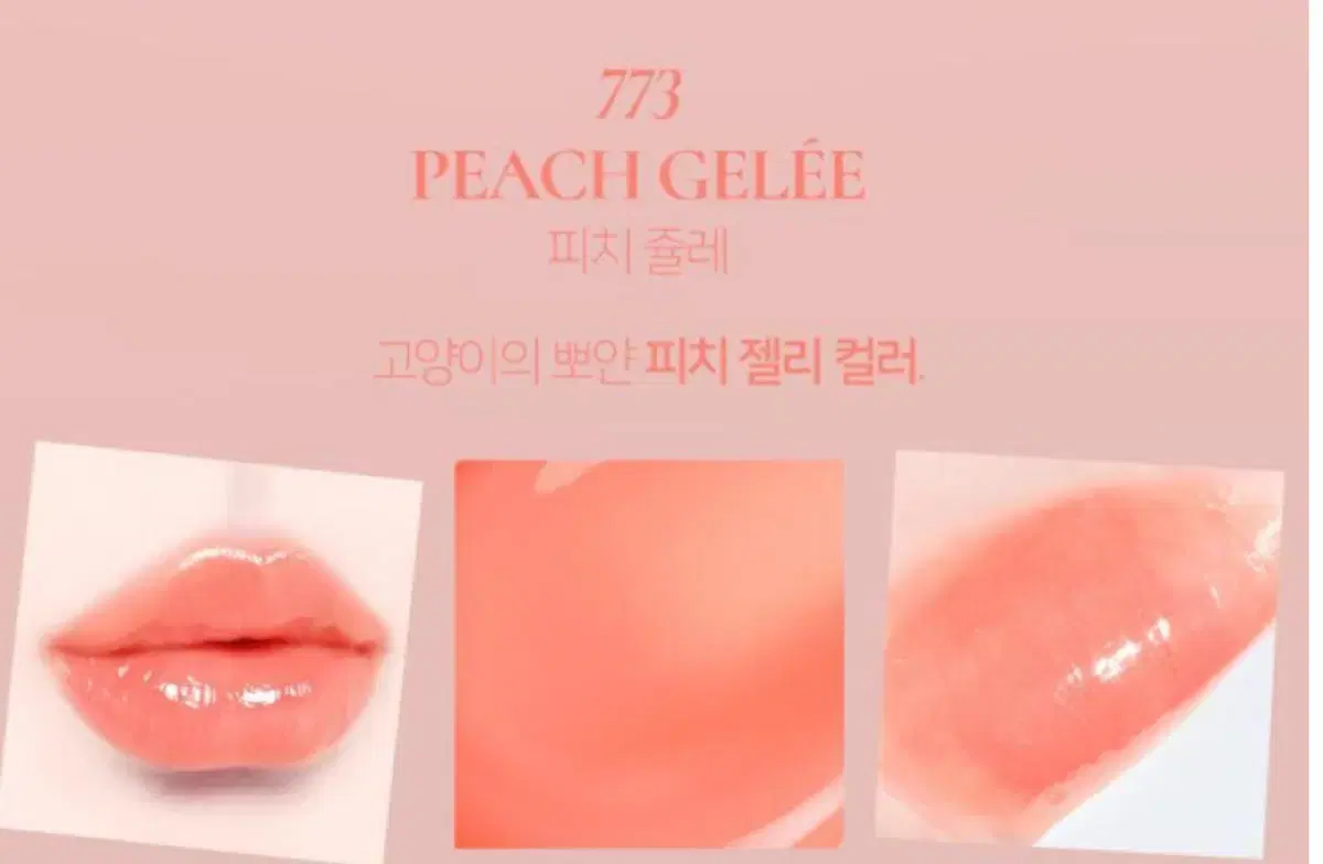 딘토 블러젤리 플럼핑 립틴트 773