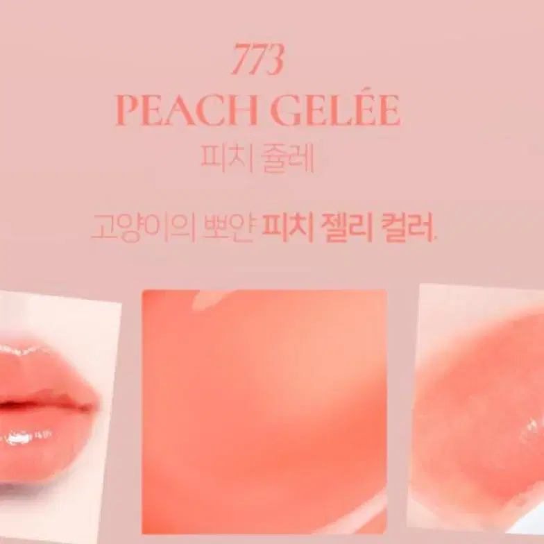 딘토 블러젤리 플럼핑 립틴트 773