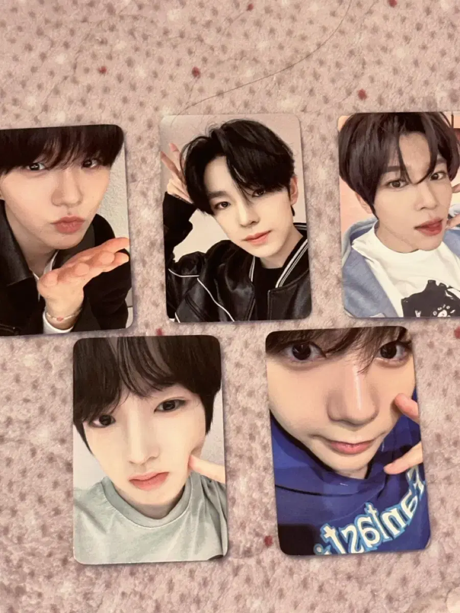 NCT wish Steady Dimamu unreleased photocard Set WTS