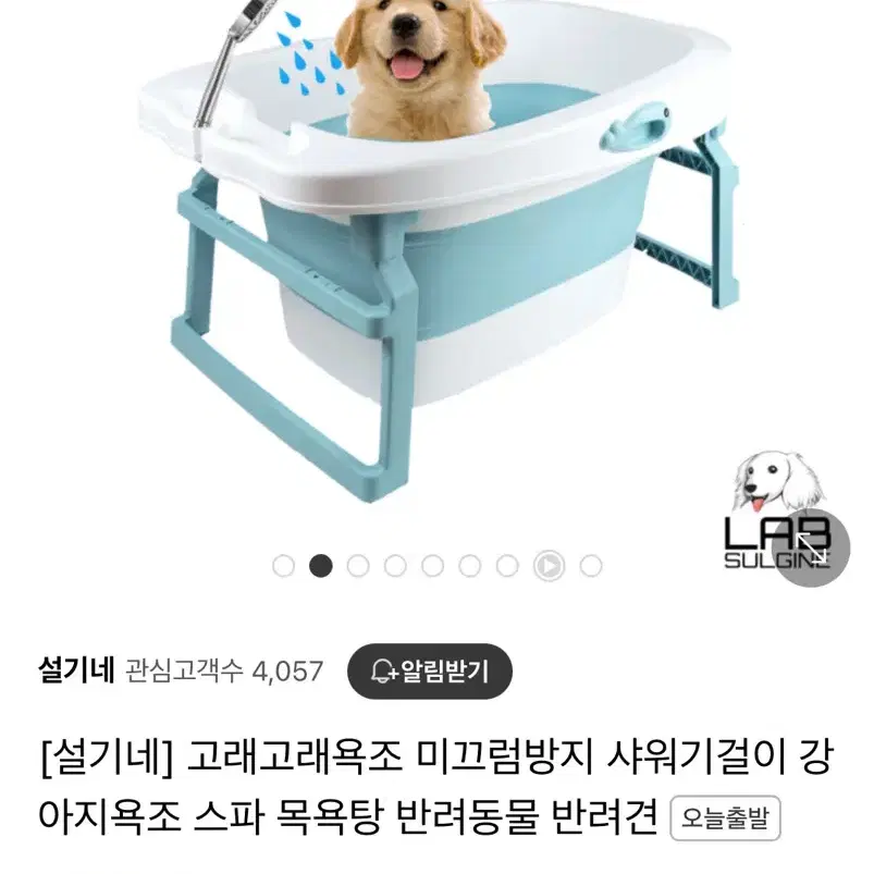 강아지접이식욕조