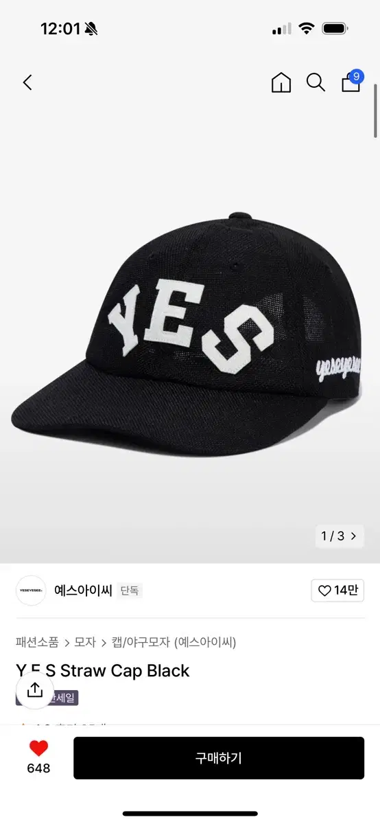 예스아이씨 Y.E.S Straw Cap Black 볼캡