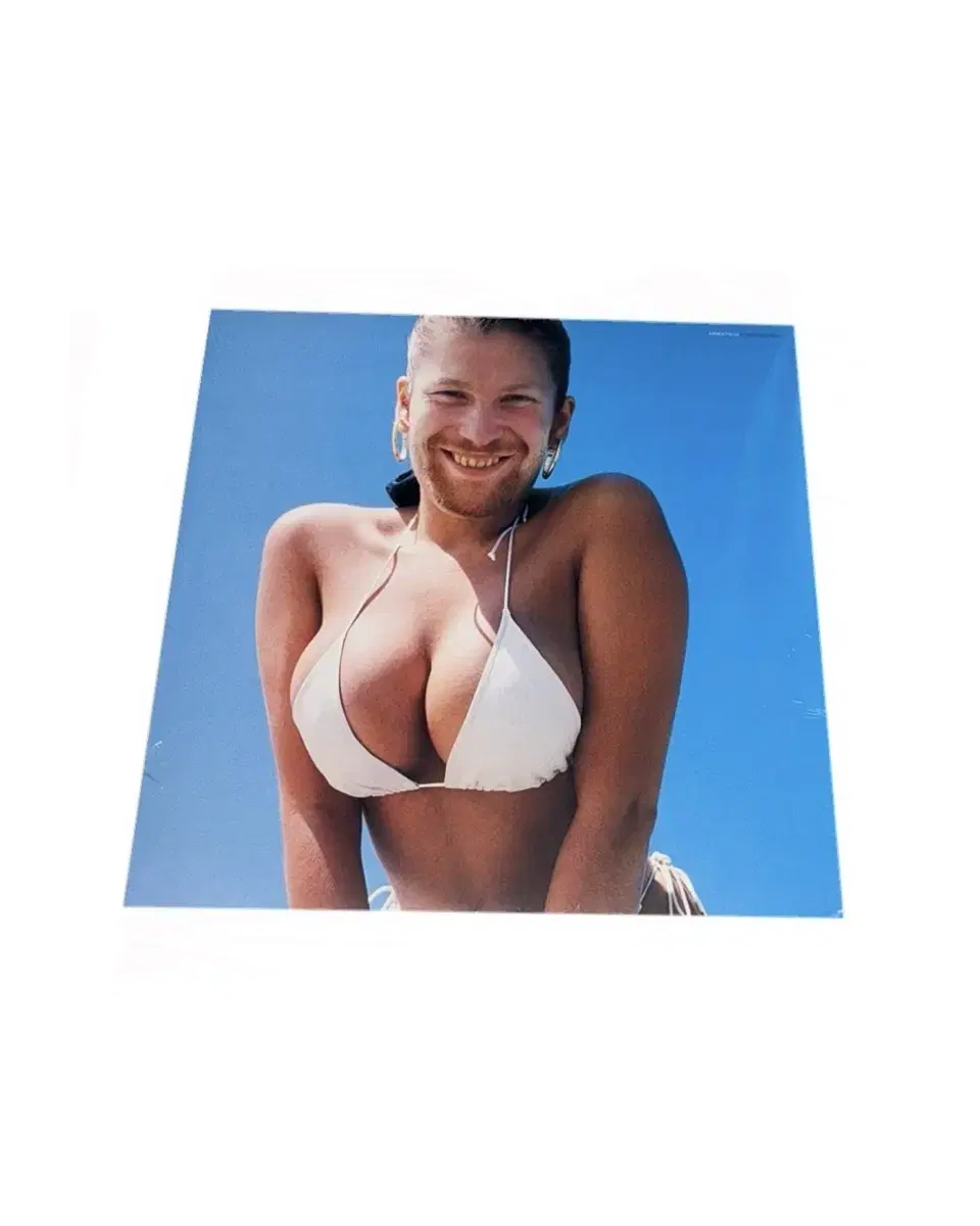 에이펙스 트윈 LP Aphex Twin  - Windowlicker