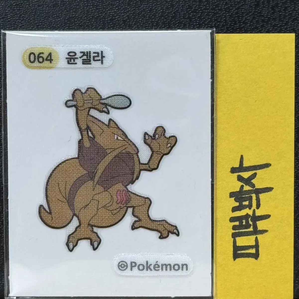 Pokémon Belted Seal Gen 1 064 Yoon Gela