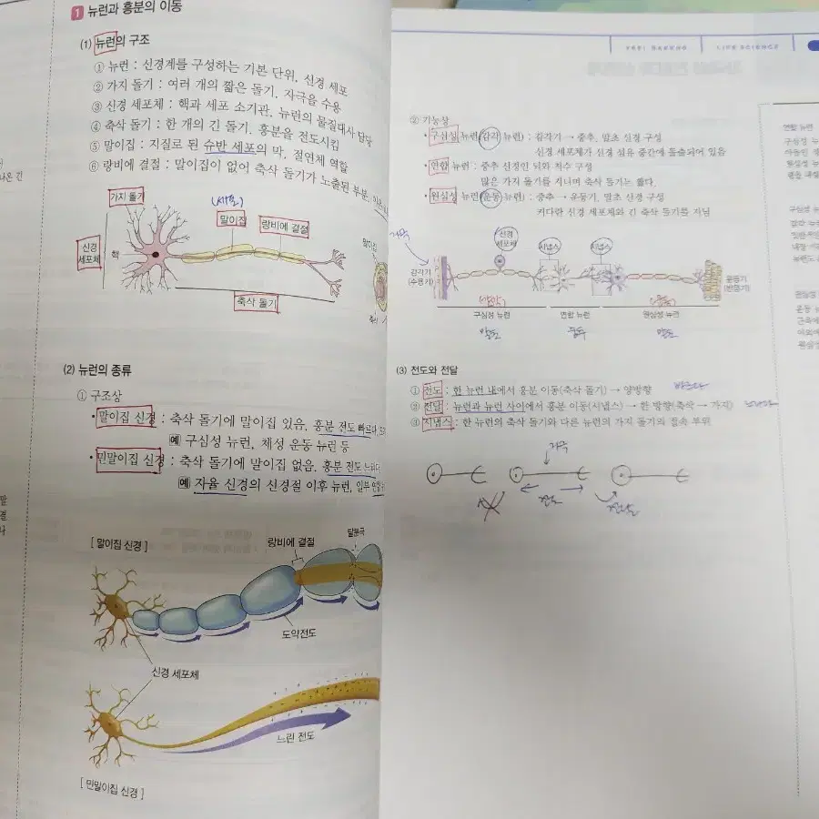 2025 백호 생명과학1 개념편+서브노트+개념형 모의고사