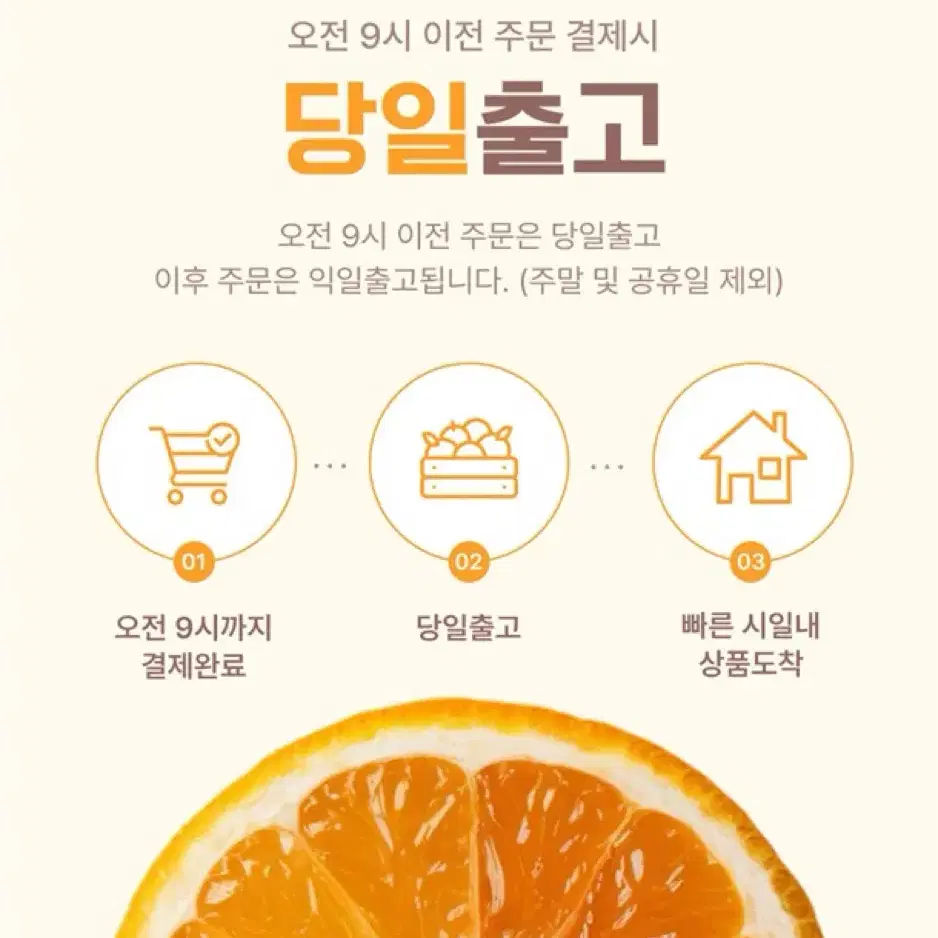 제주의 신선함을 담은 산지직송 자연 감귤 / 황금향