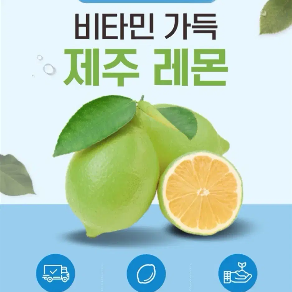 비타민 가득 제주레몬 청정제주 산지직송 레몬 3kg, 5kg 혼합