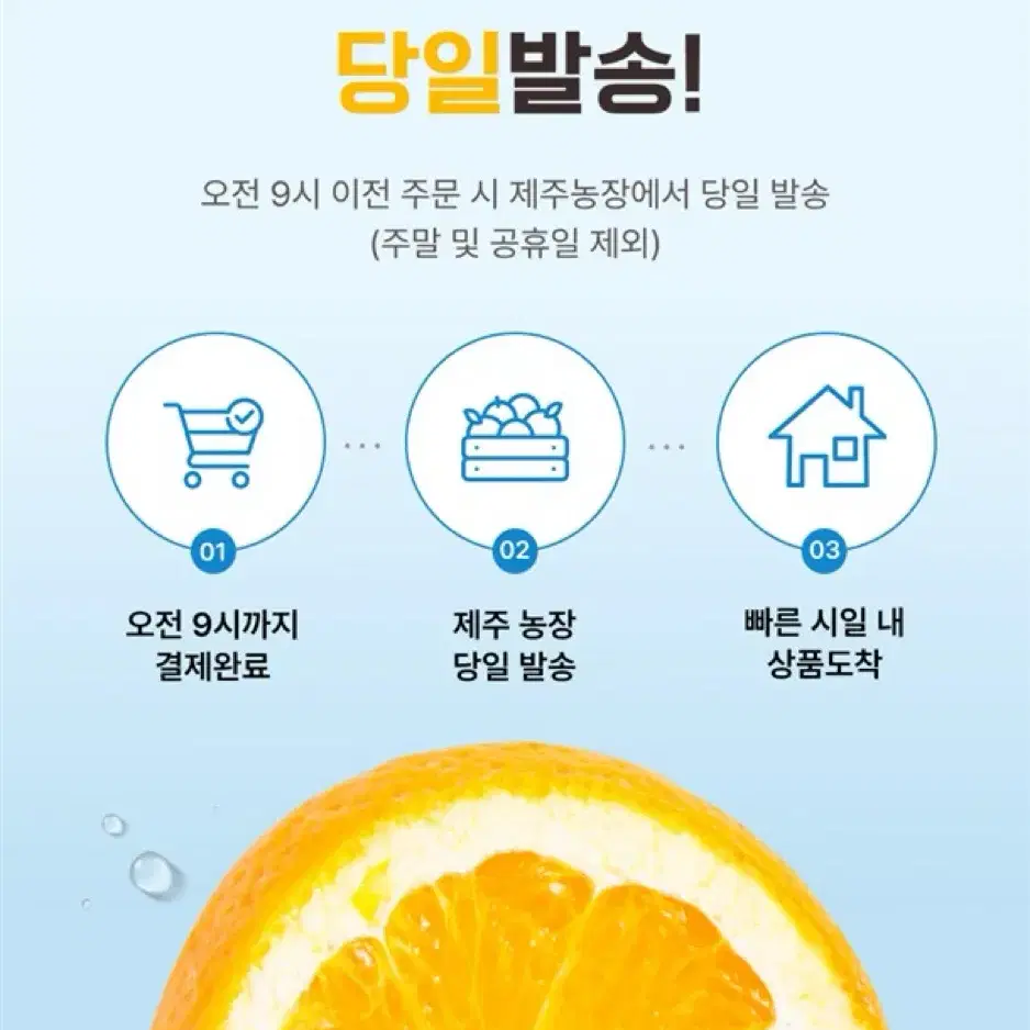 비타민 가득 제주레몬 청정제주 산지직송 레몬 3kg, 5kg 혼합