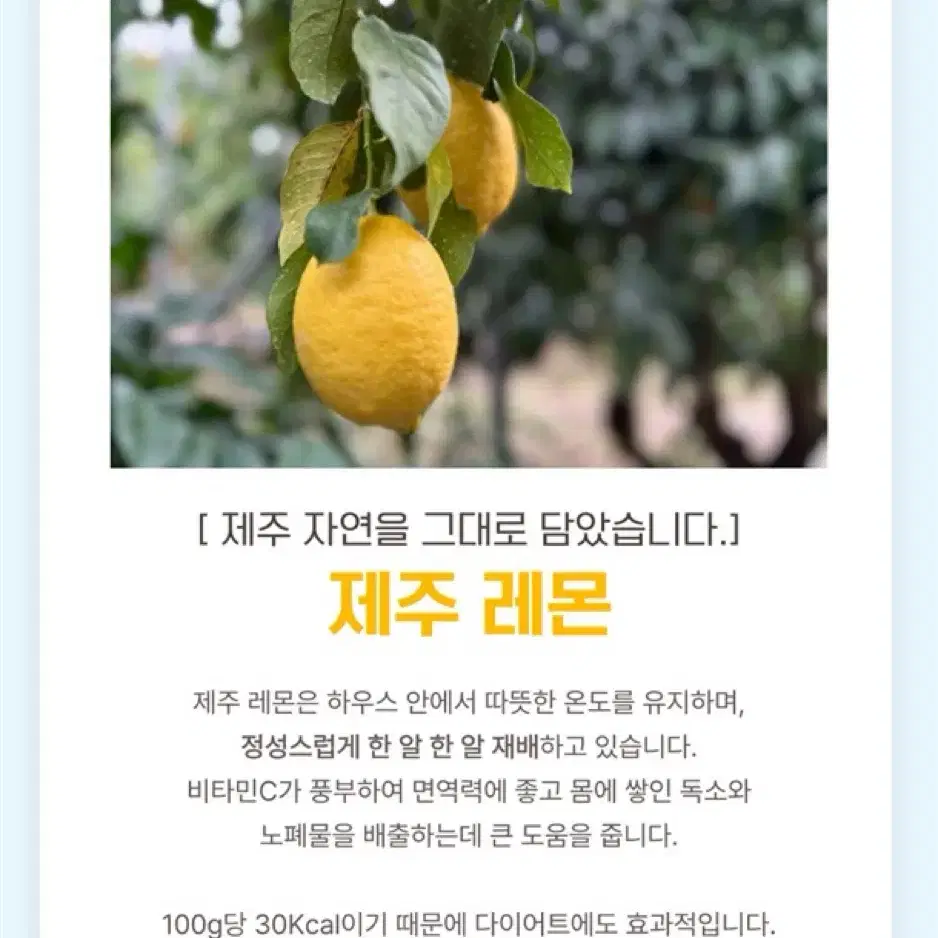 비타민 가득 제주레몬 청정제주 산지직송 레몬 3kg, 5kg 혼합