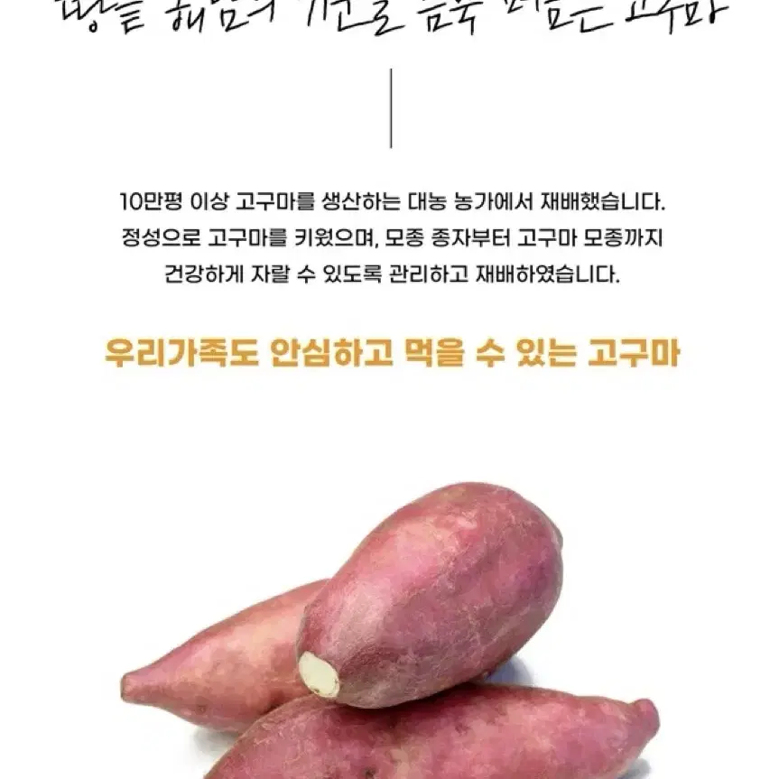 달콤하고 촉촉한 해남 꿀 고구마 3kg 5kg 한입 중 특상