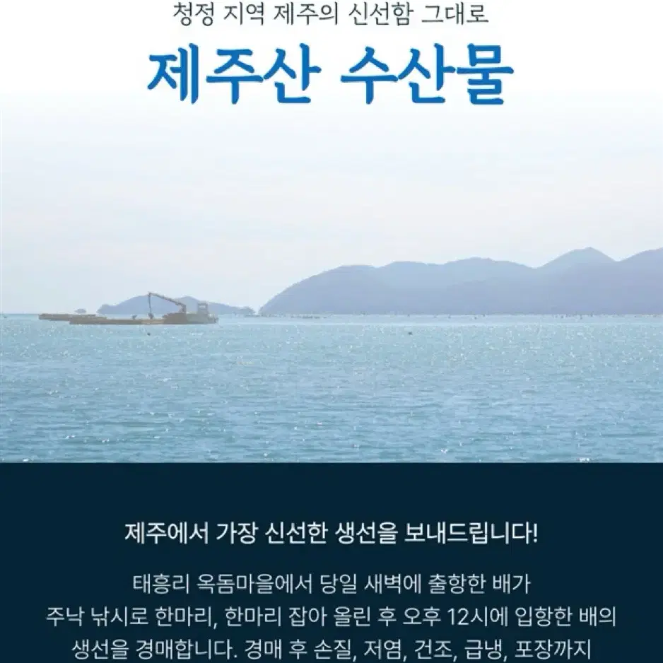 청정 제주 바다에서 잡은 신선한 제주 은갈치,고등어,옥돔,조기