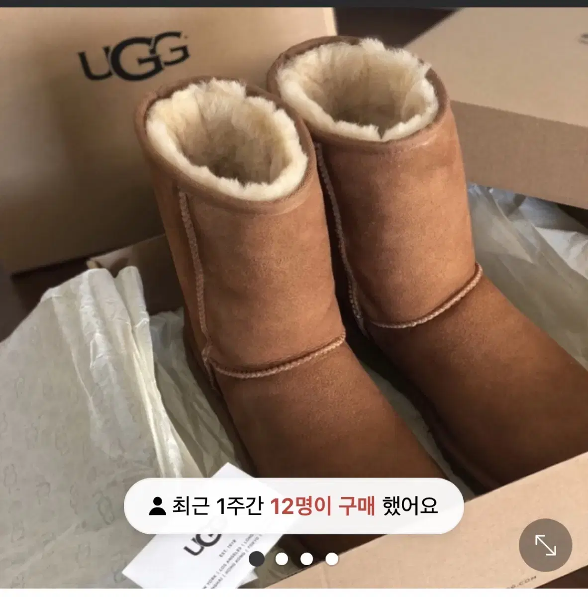 UGG 미국어그 클래식숏 II 부츠 Classic short II 101