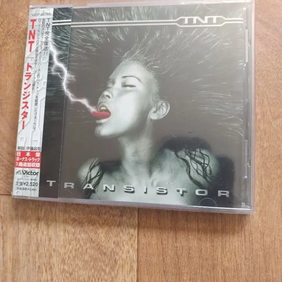 tnt cd 일본반 시디